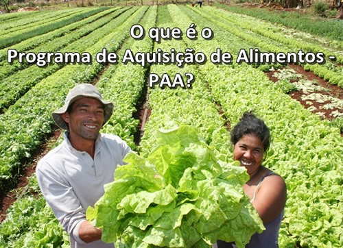 O que  o Programa de Aquisio de Alimentos - PAA?