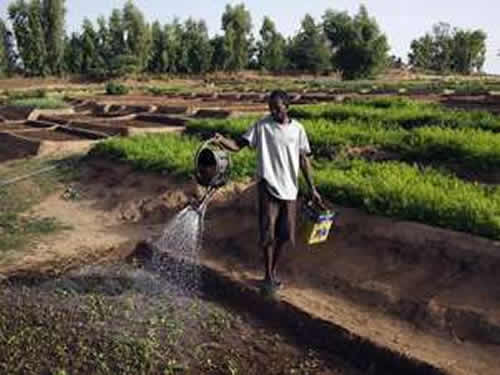 Dia Mundial da gua: aumento da demanda e contaminao preocupam